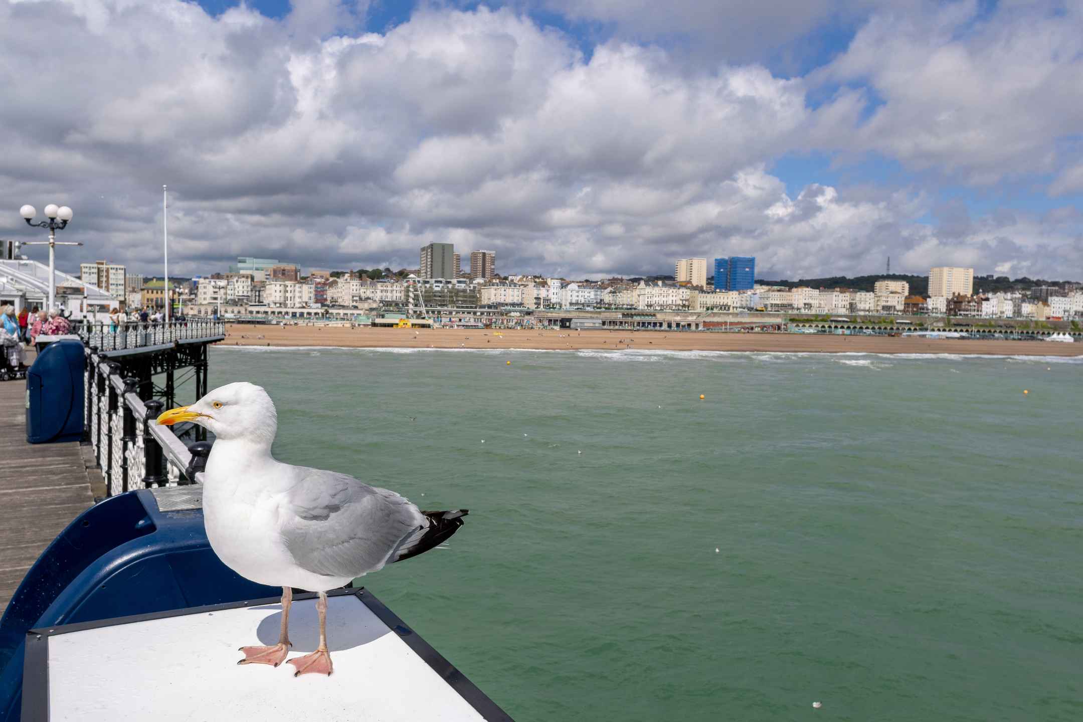 Cost of Home Care in Brighton and Hove