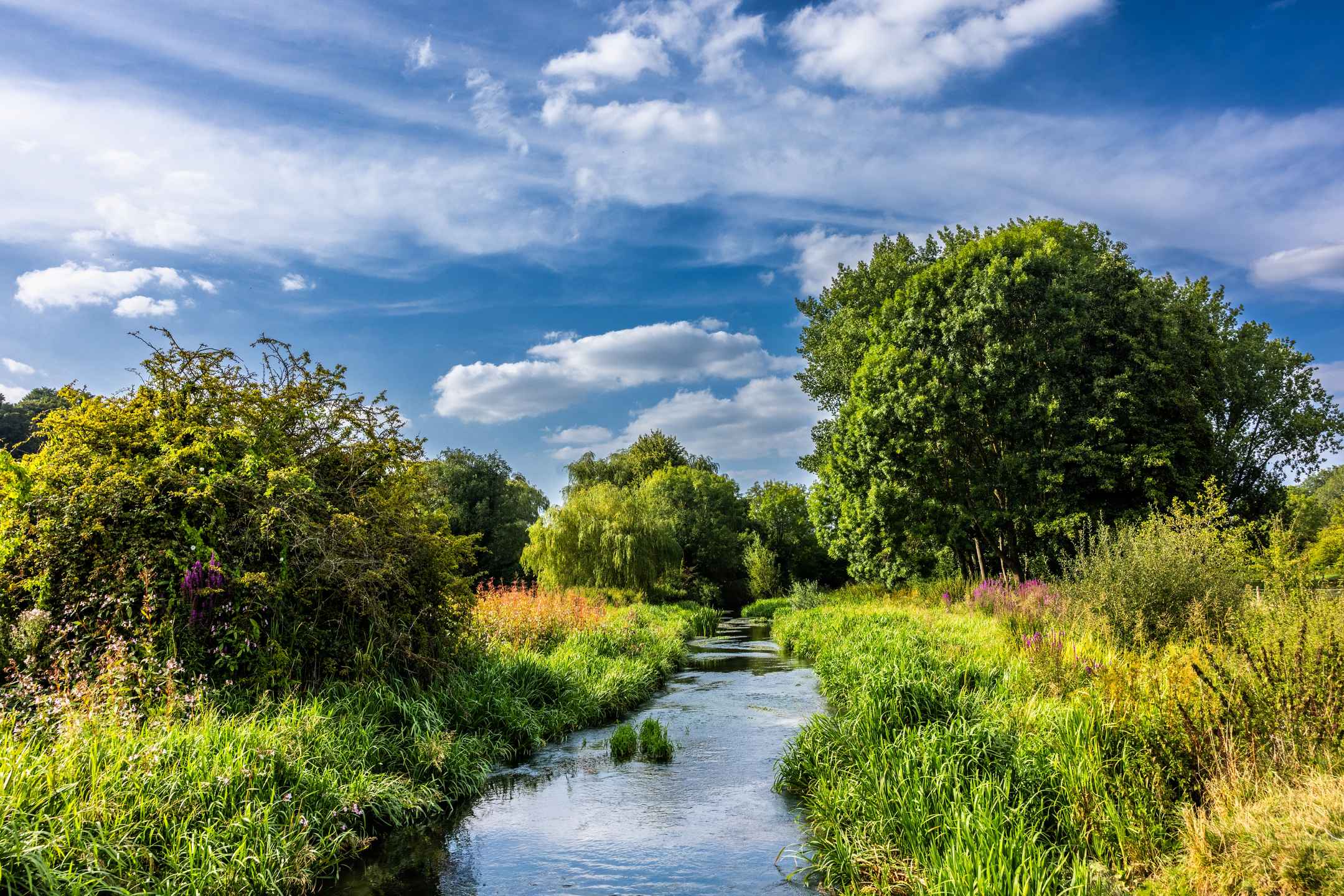 Cost of Home Care in Hertfordshire