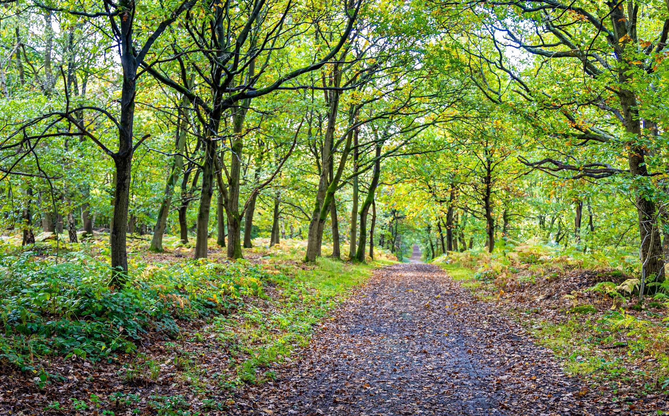 Cost of Home Care in Nottinghamshire