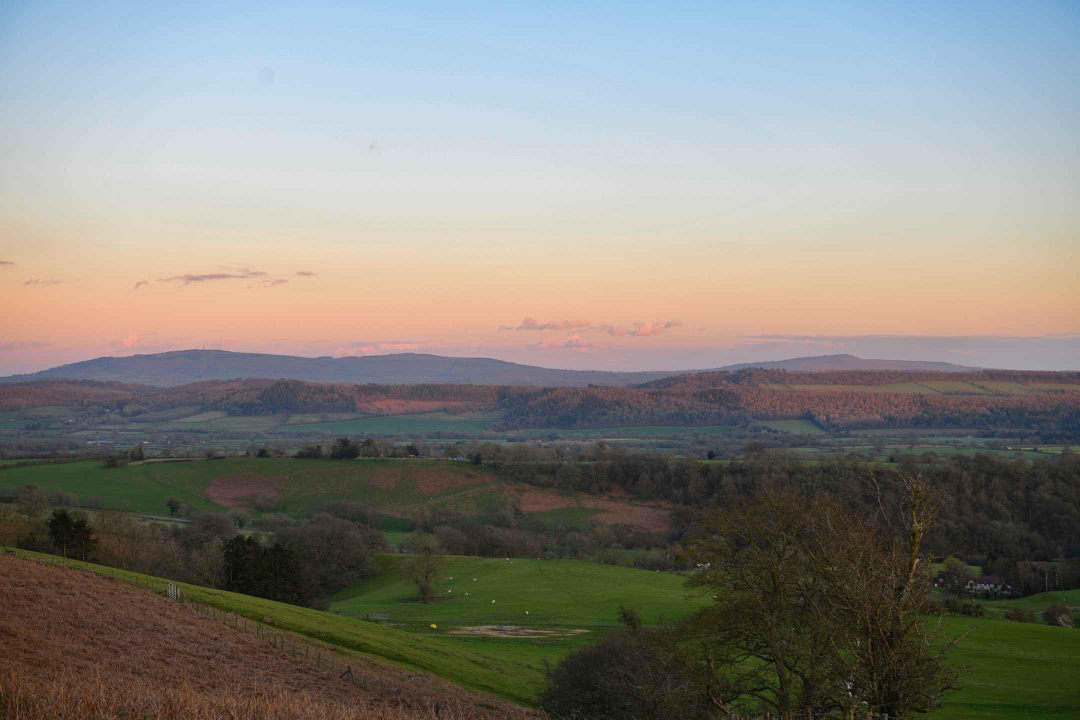 Cost of Home Care in Shropshire