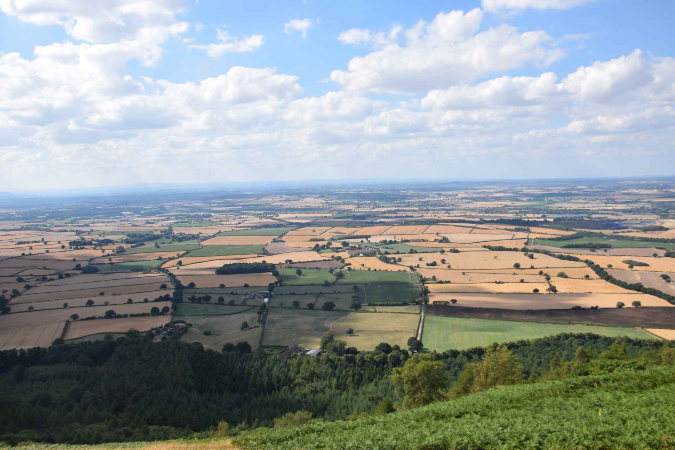 Cost of Home Care in Telford and Wrekin