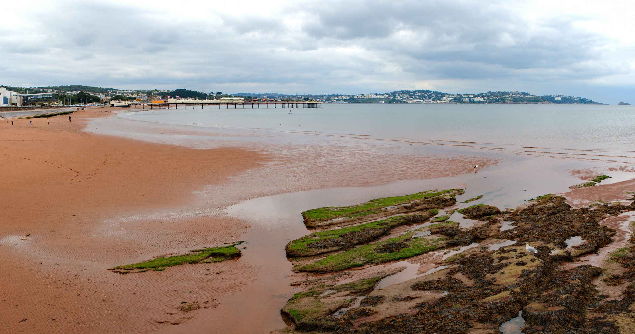 Cost of Home Care in Torbay