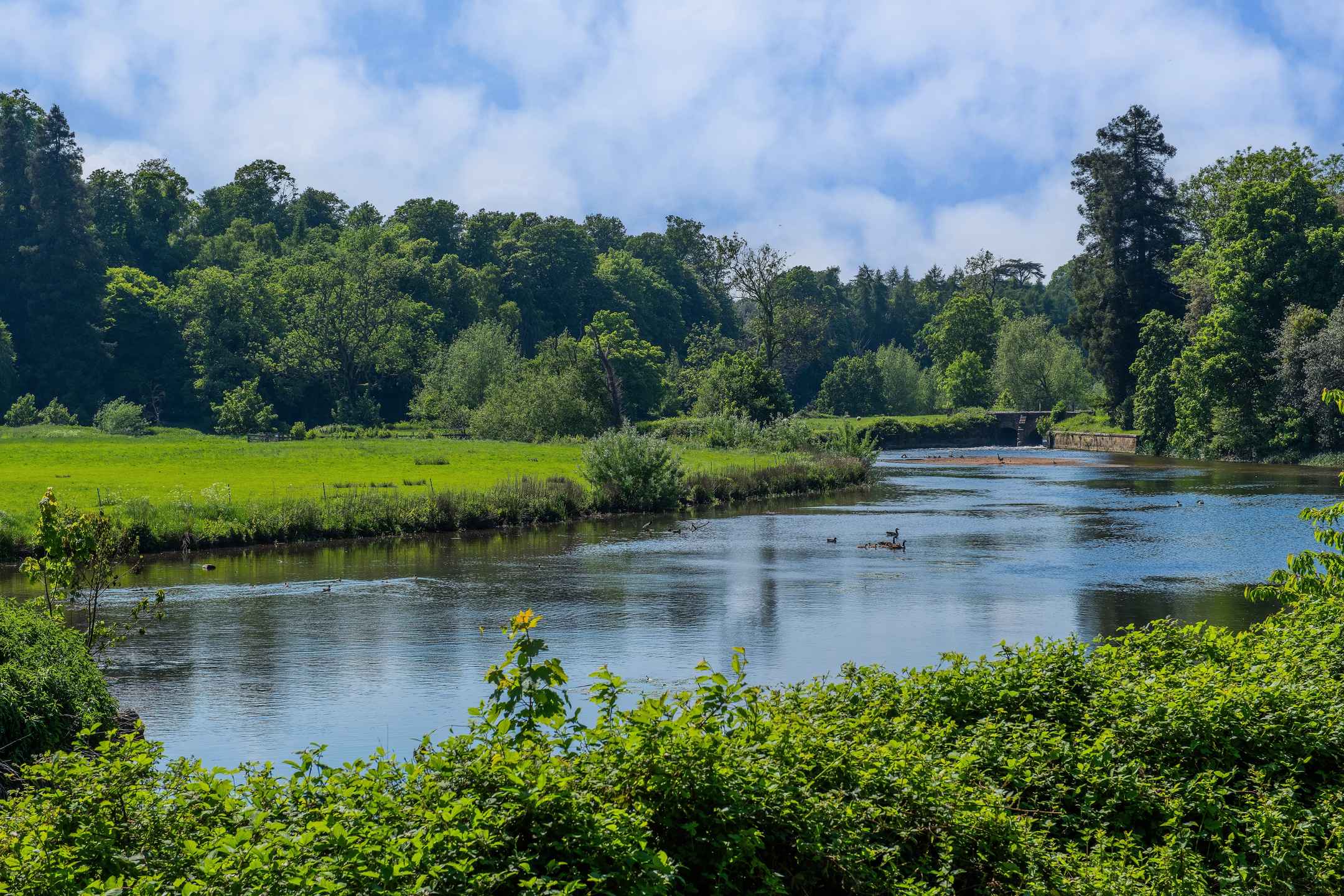 Cost of Home Care in Warwickshire