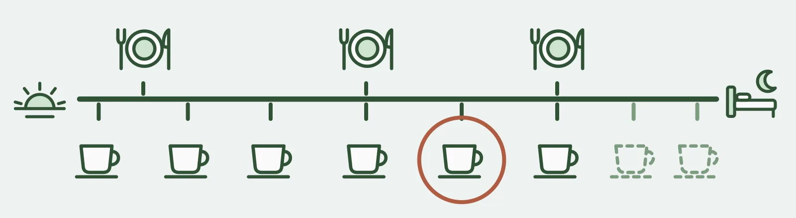 A line running from sunrise to bed, with three meals at fixed points above it and eight cups spread evenly below it. The mid-afternoon cup is circled in red, and the last two cups of the evening are drawn as dashed outlines.